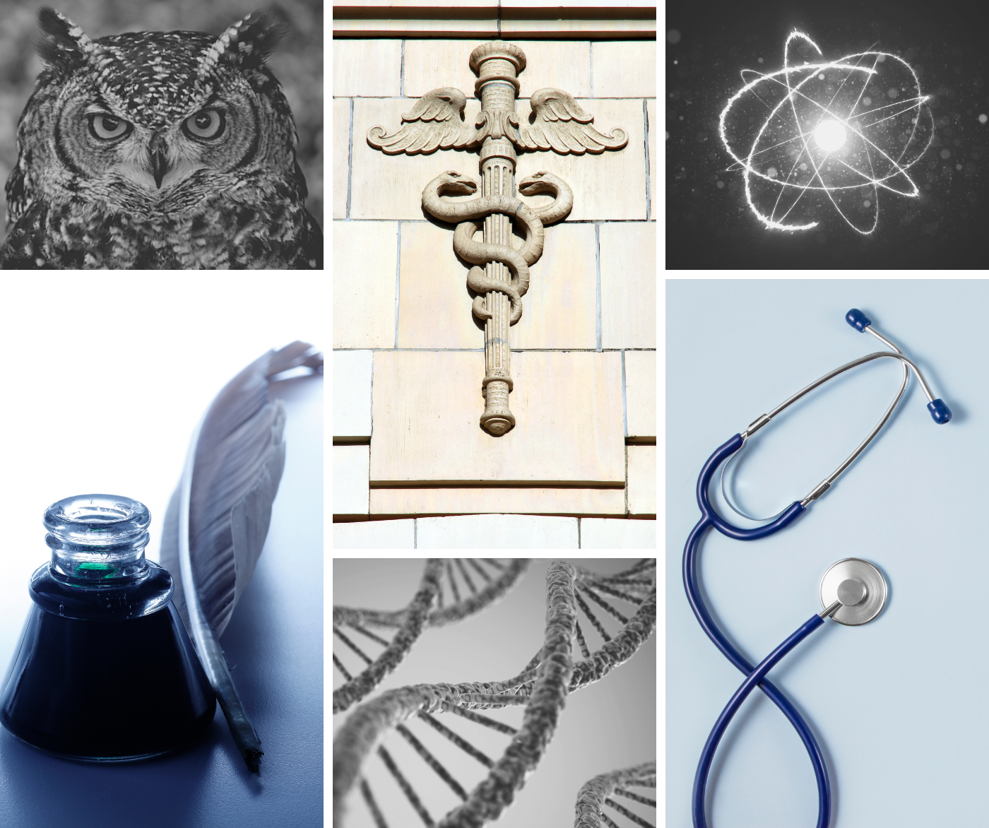 Adventures in Academia